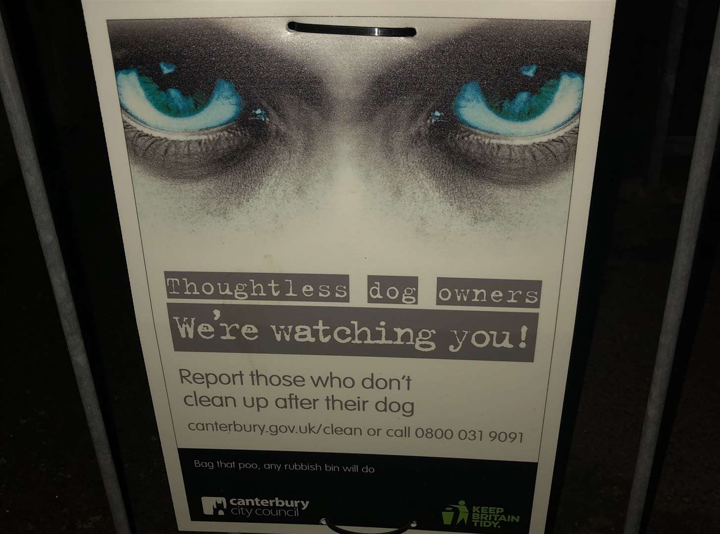 The posters are being rolled out in coming weeks. Picture: Canterbury City Council (7793327)