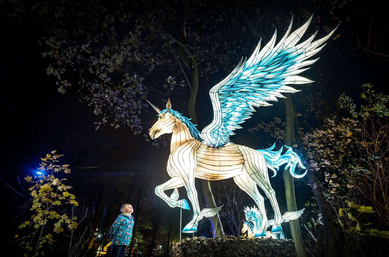 Freddie explores the Enchanted Forest and Winter Illuminations at Stockeld Park in Wetherby, West Yorkshire (Danny Lawson/PA)