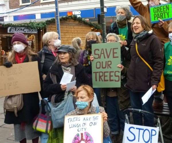 More than 5,000 people signed a petition calling for the high street trees to be saved from the axe. Picture: Julie Wassmer
