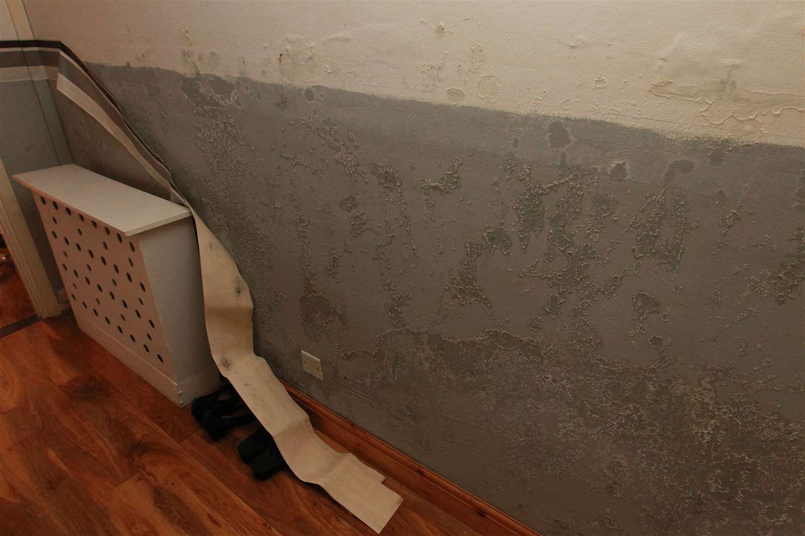 Trudy Arslan's walls are covered in damp at her Hyde flat in Newlyn Court, Maidstone. Picture: John Westhrop (11079327)