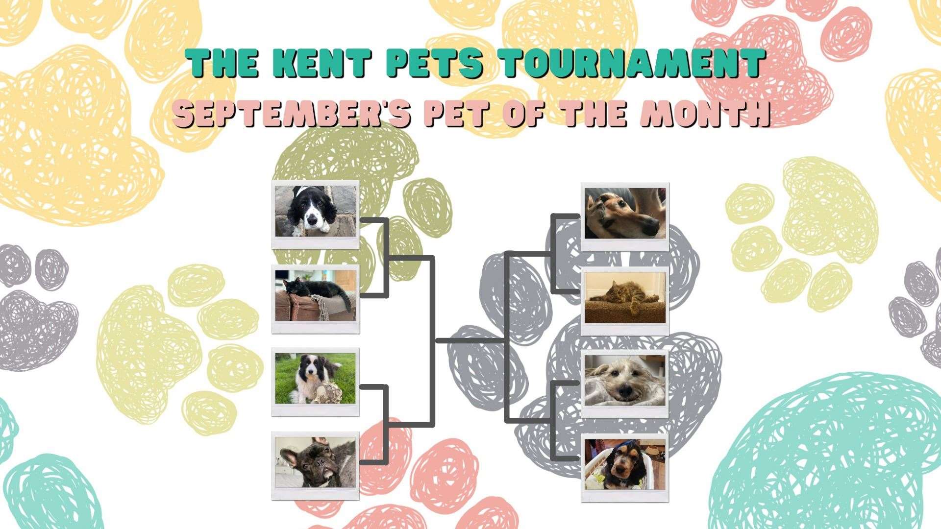 September's Kent Pets Tournament