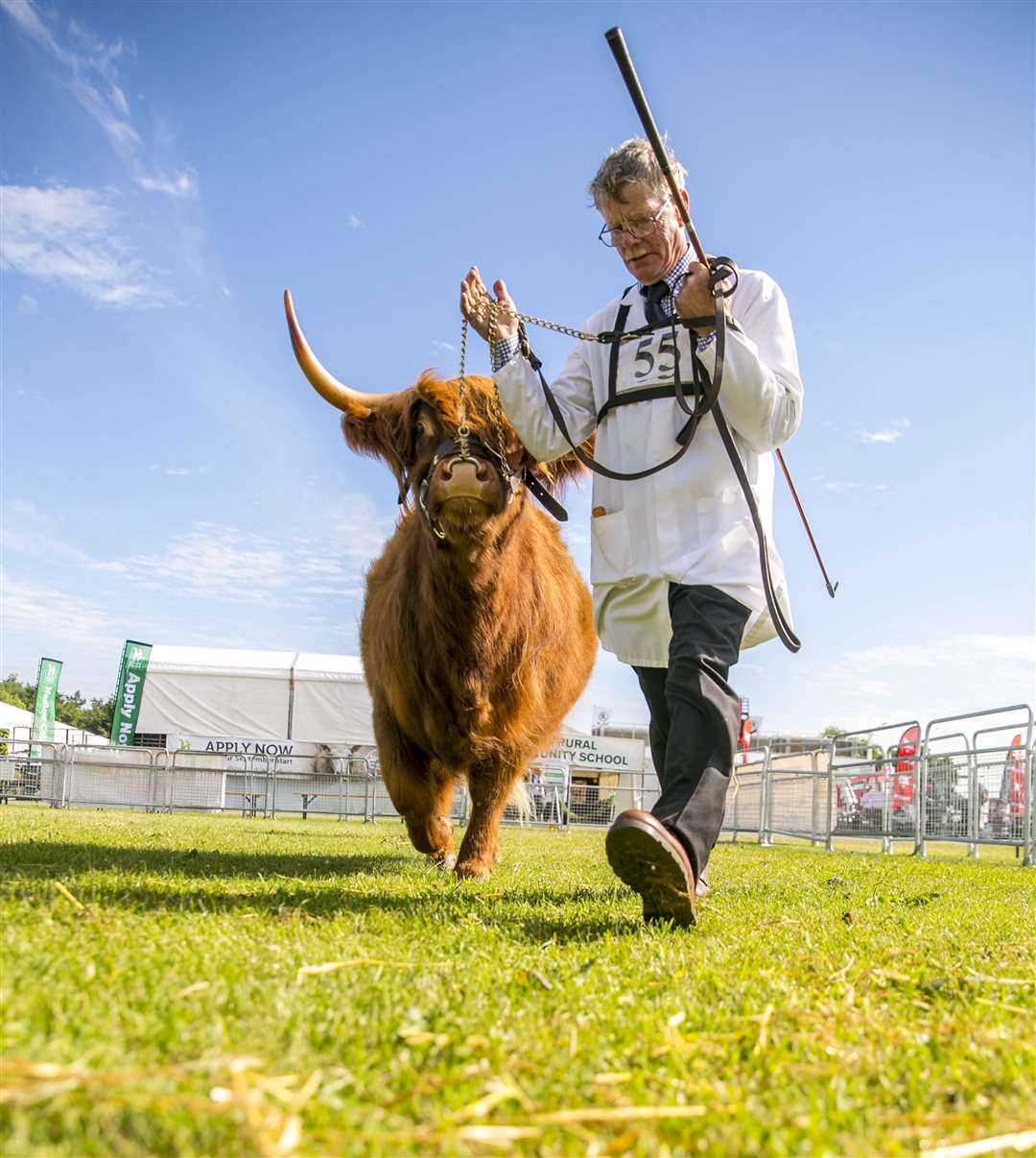 The Kent County Show is an agricultural showcase