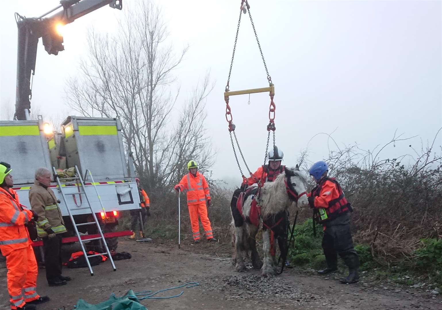 The horse was rescued from the ditch (7388428)