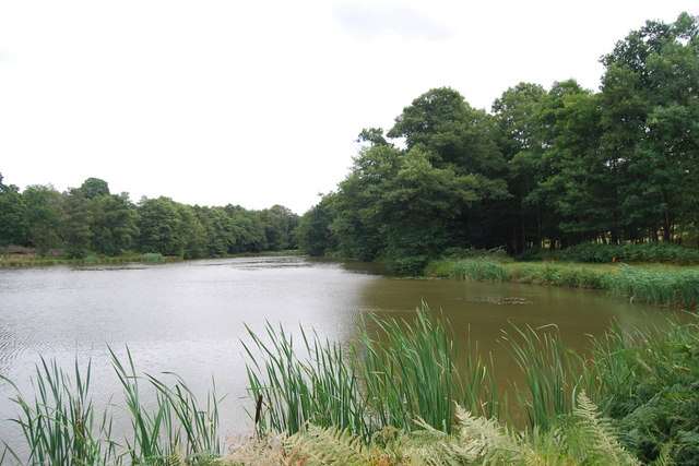 Eridge Park near Tunbridge Wells