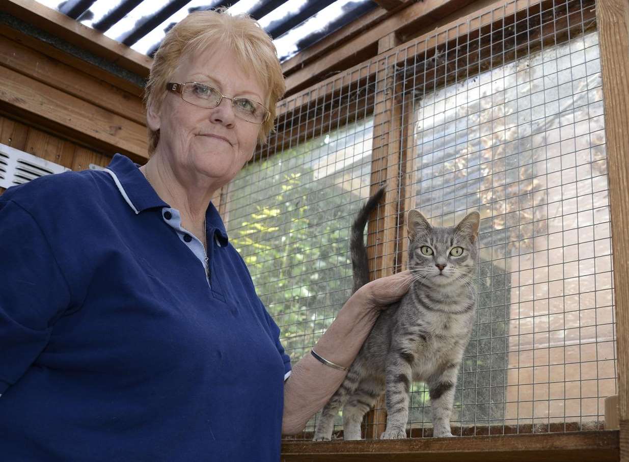 Kingsdown Cat Sanctuary, Clare Baumberg with Cassie