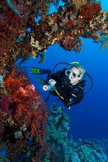 Rose Jones went scuba diving and enjoyed a luxury lifestyle while claiming disability benefits.