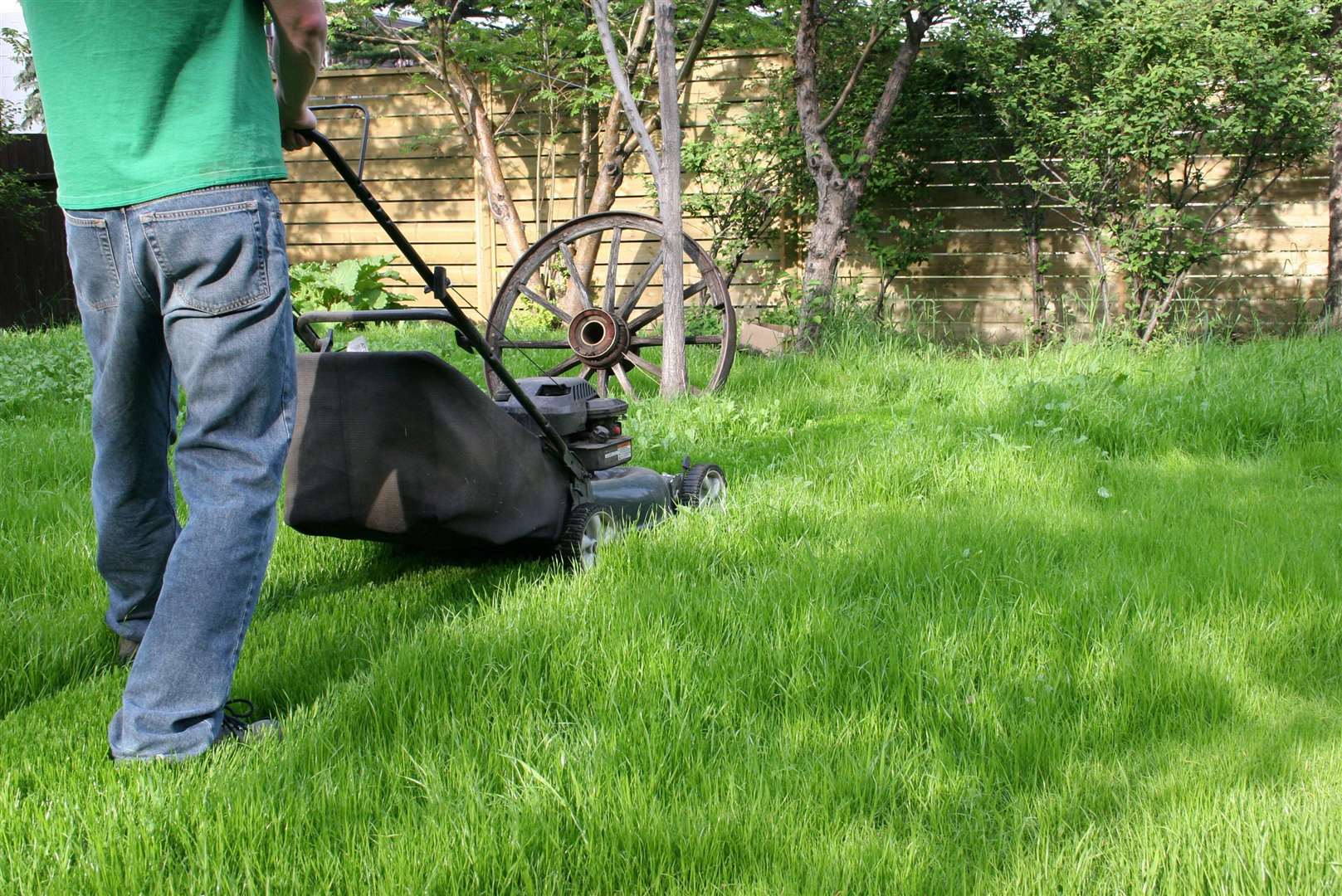 Those laying new turf – such as landscape gardeners – are subject to different rules. Image: iStock.
