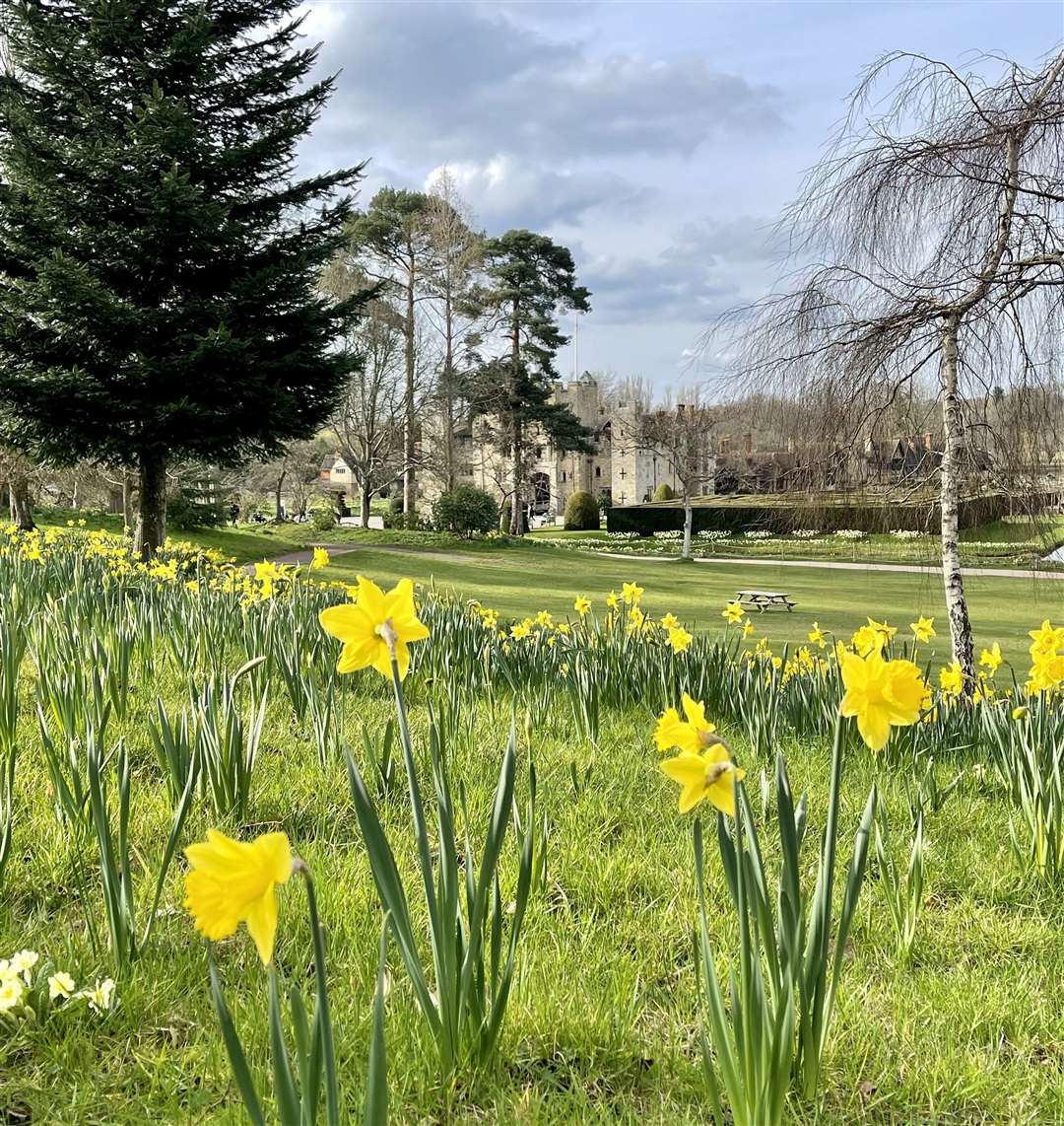 Take a stroll through the grounds and admire the Dazzling Daffodils display. Picture: Vikki Rimmer