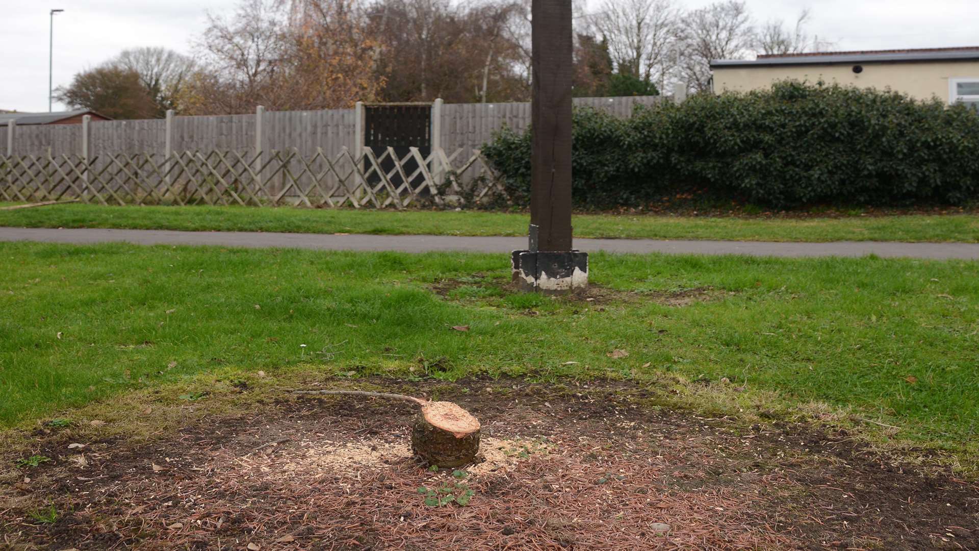 The tree which was stolen stood next to the village sign. Picture: Gary Browne