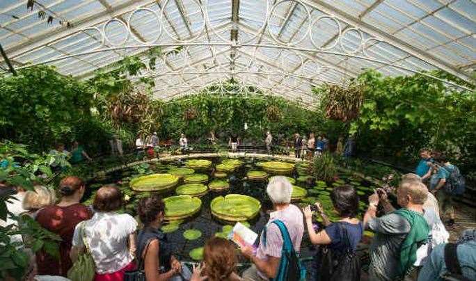 Travel through ten climatic zones in the Princess of Wales Conservatory and be amazed by giant lily pads in the Waterlily House.