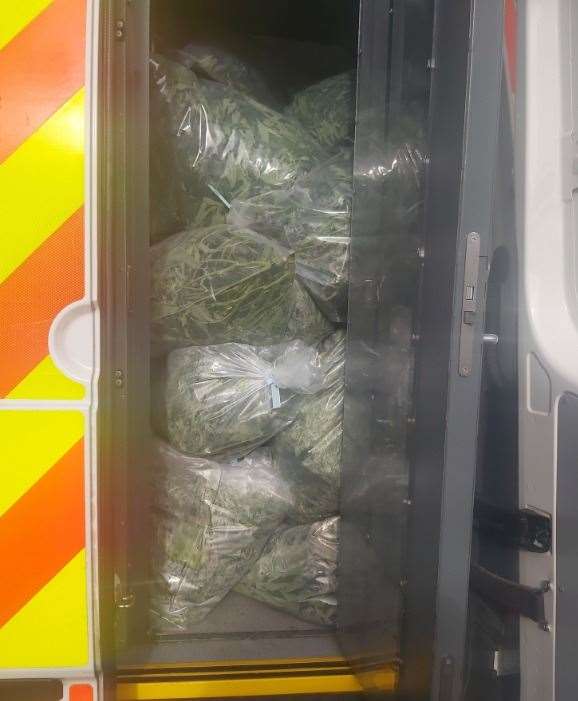 The haul bagged up in the back of a police van. Picture: Kent Police