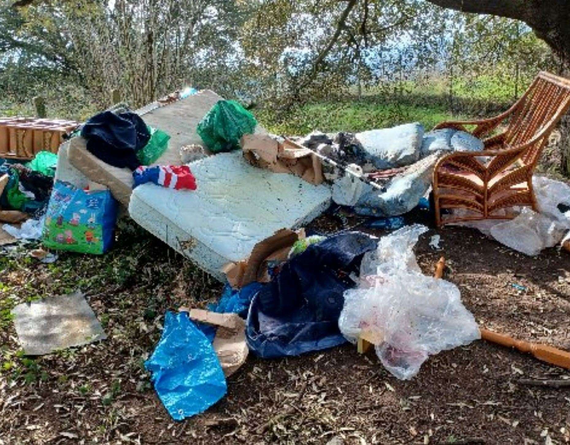 Lee Nelson dumped multiple items in Folkestone after charging to dispose of them. Picture: FHDC