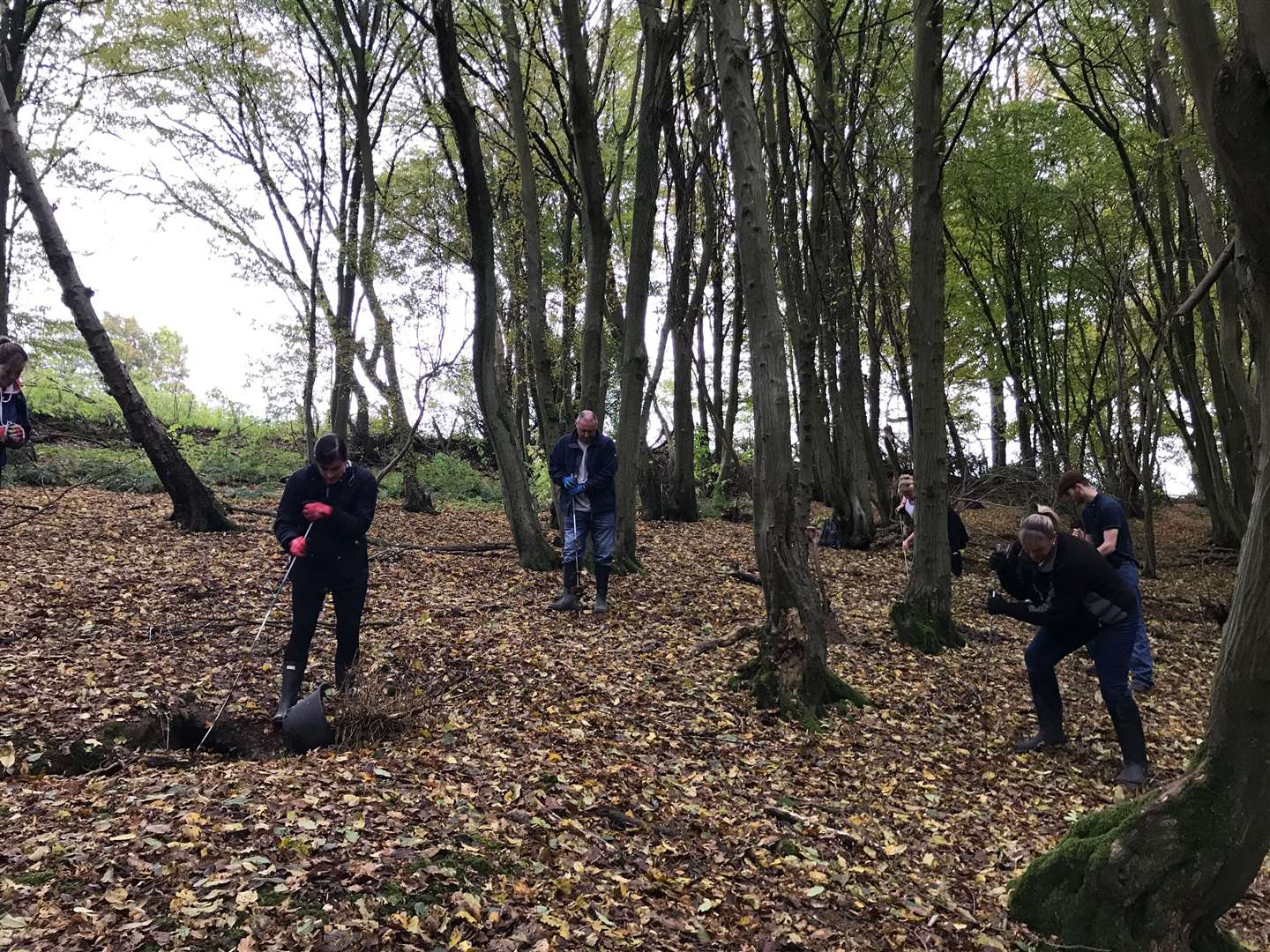 Volunteers searching woodland in the hunt for Sarah Wellgreen