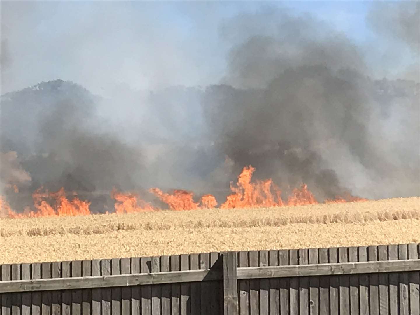 Six fire engines were sent to Chartham to battle the crop blaze. Picture: Adam Pond
