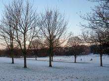 Trees in Dane Park, Cliftonville, on a snowy morning in January 2010