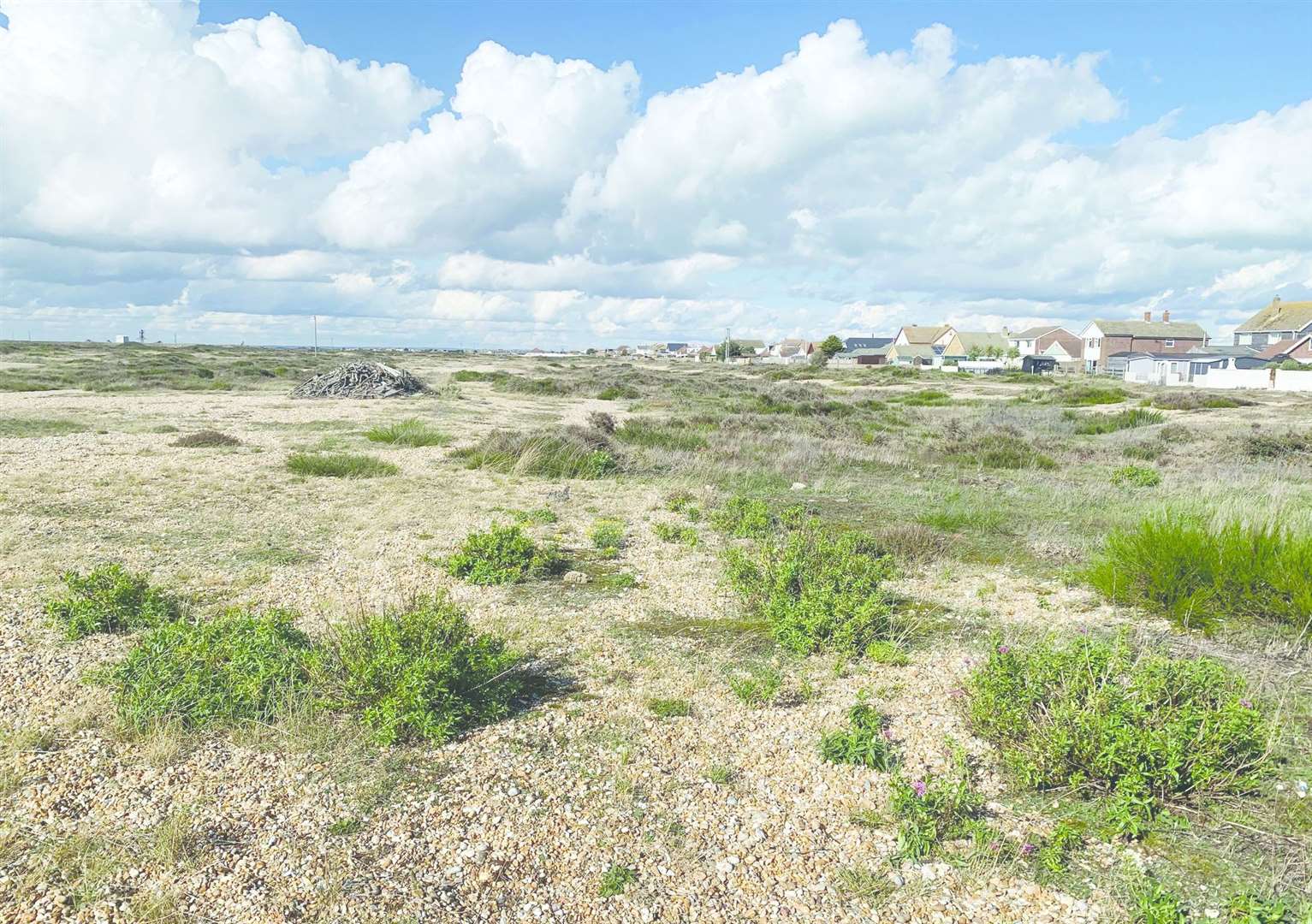 Land at Battery Road and Dungeness Road, Dungeness, is for sale at auction. Picture: Clive Emson