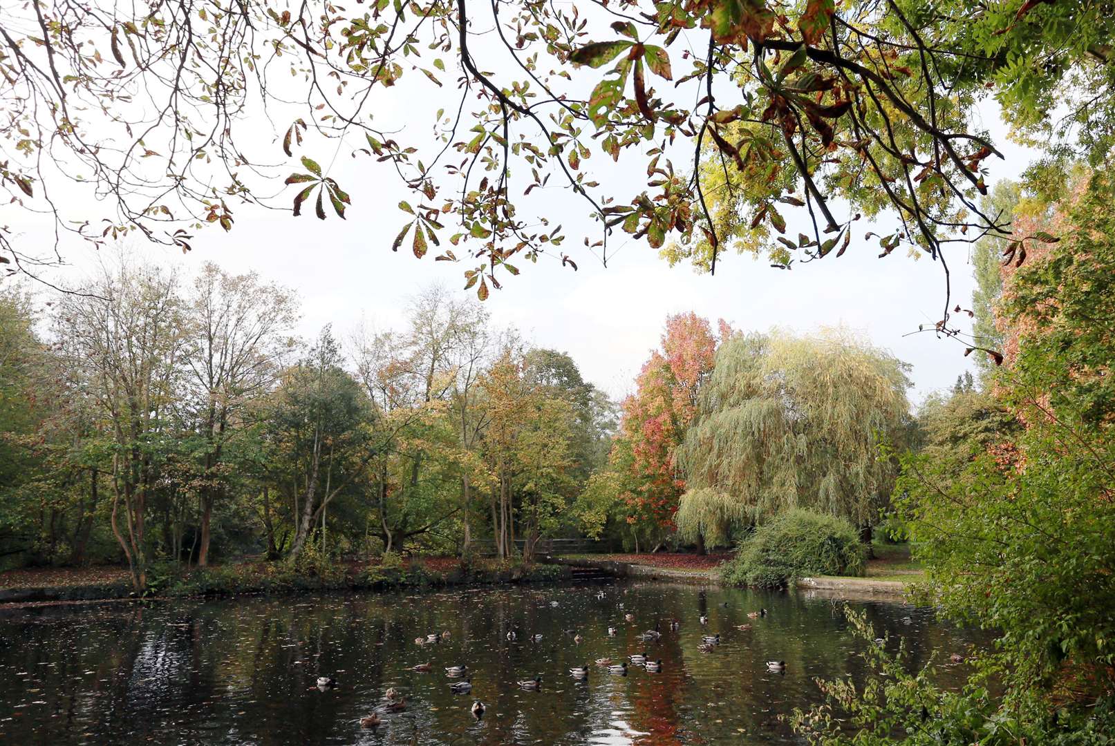 Sevenoaks council remain committed to the redevelopment of Bradbourne Lakes