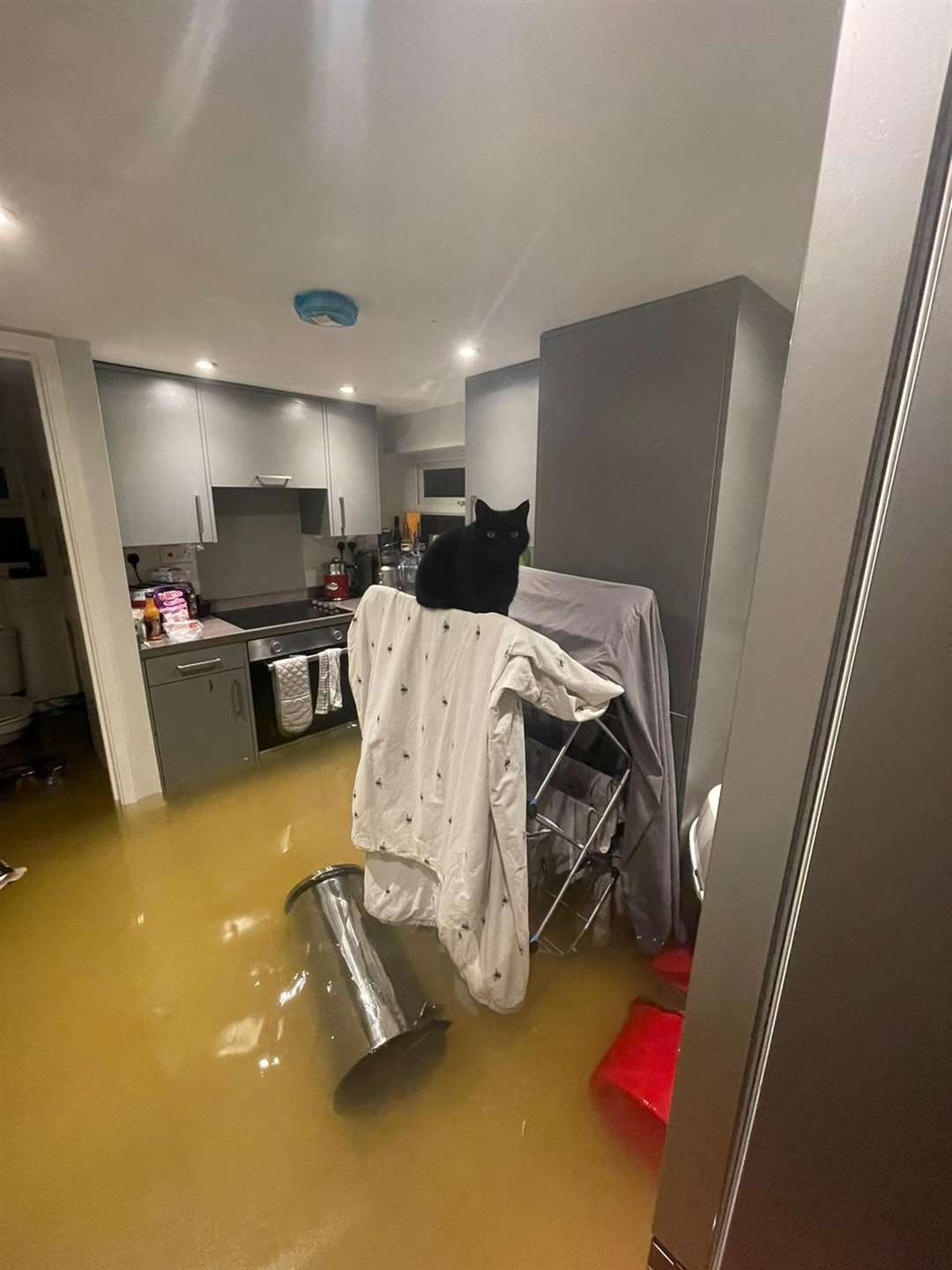 Tony King and Frances Spanner's flat in Herne Bay was submerged this morning. Picture: Tony King