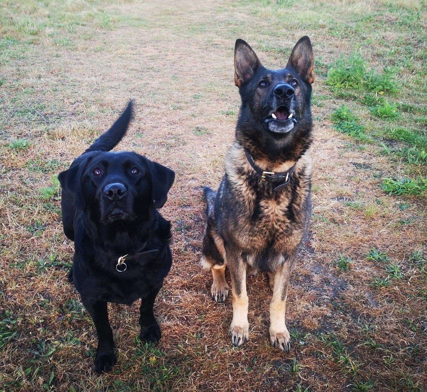 PD Max (L) and PD Cliff (R)