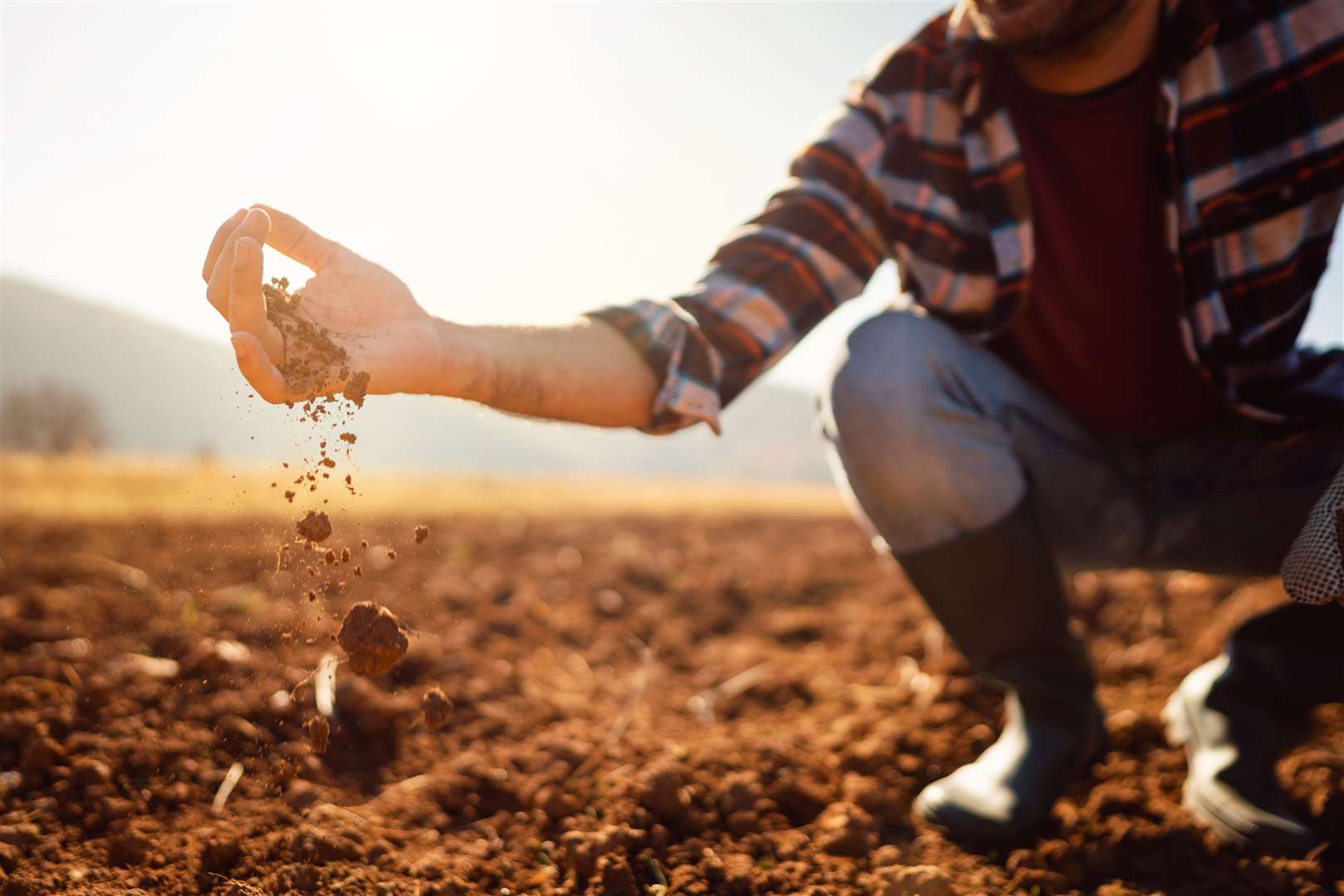 ‘Farming should be our number one priority… we should all be digging for victory’ Photo: iStock