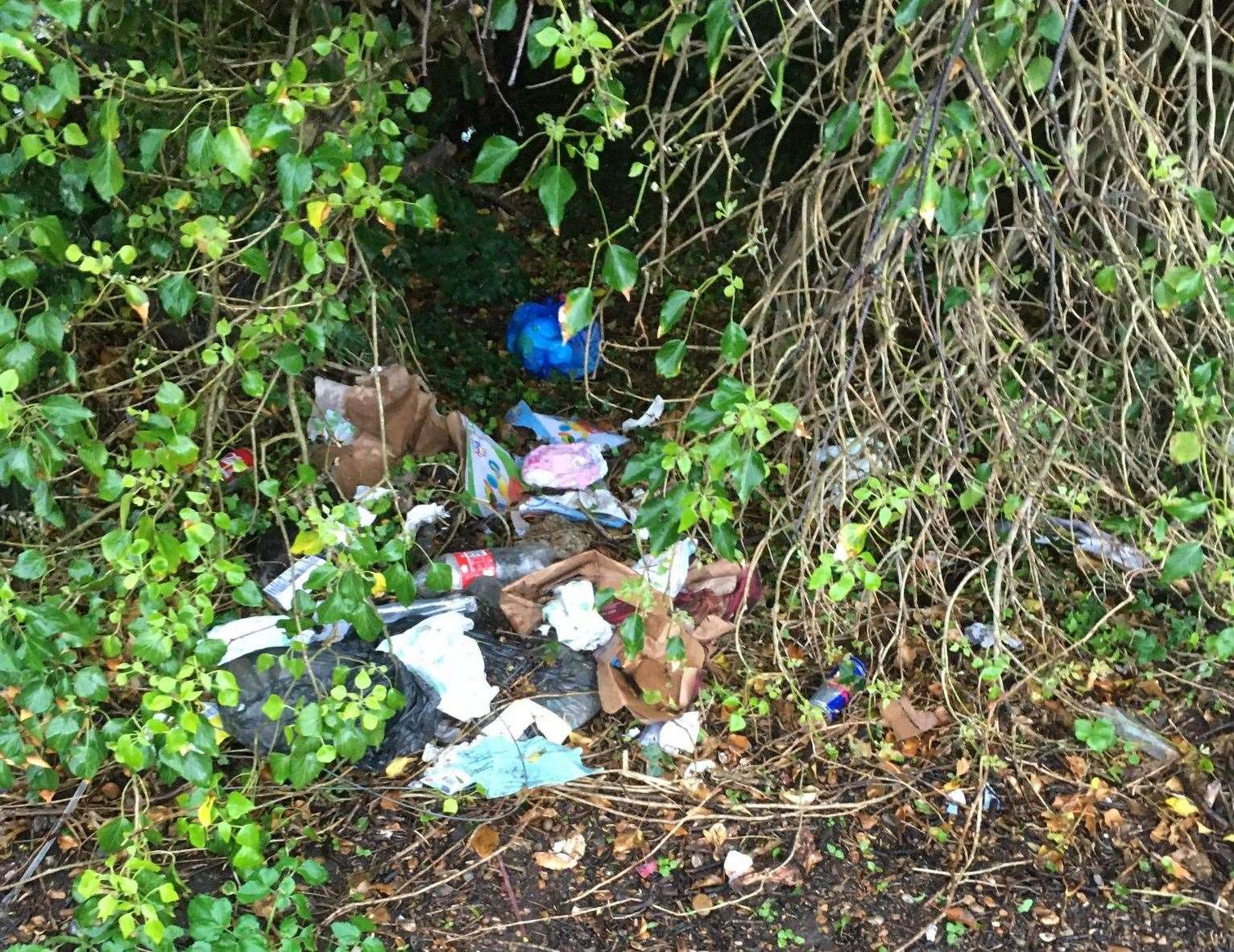 Litter was also left behind on the green. Photo: Eric Brown Litter Picking Watch Romney Marsh