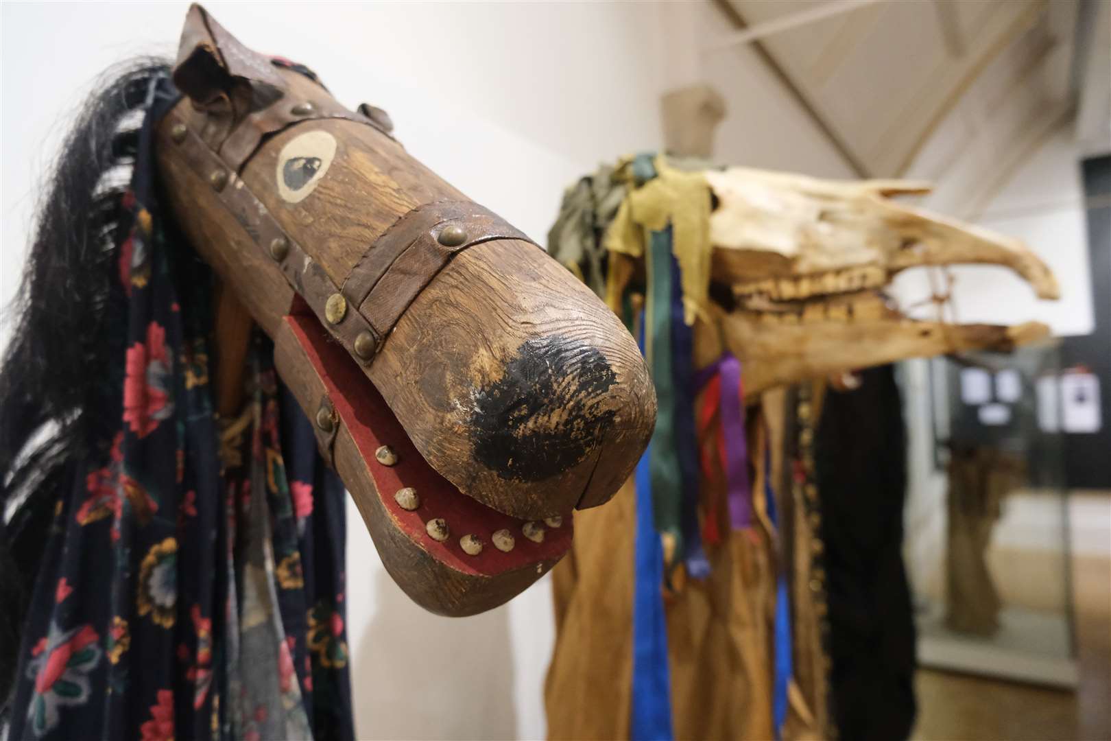 Maidstone Museum reopens with new Animal Guising and the Kentish Hooden  Horse exhibition