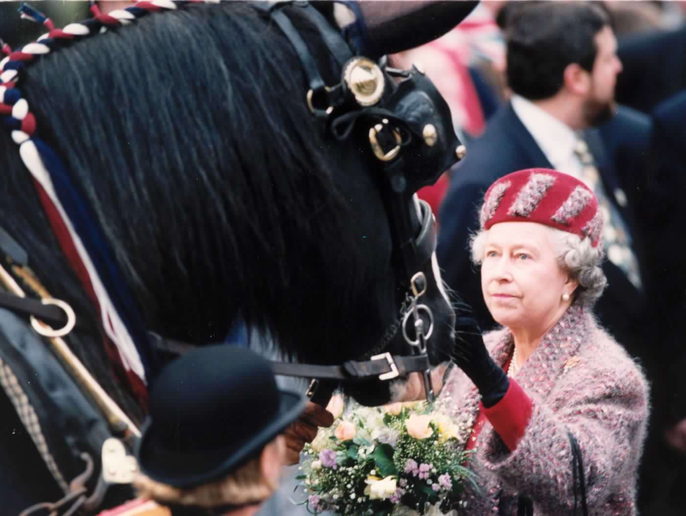 The Queen meets Bosan one of the dockyard horses on her visit to Chatham Dockyard in 1994