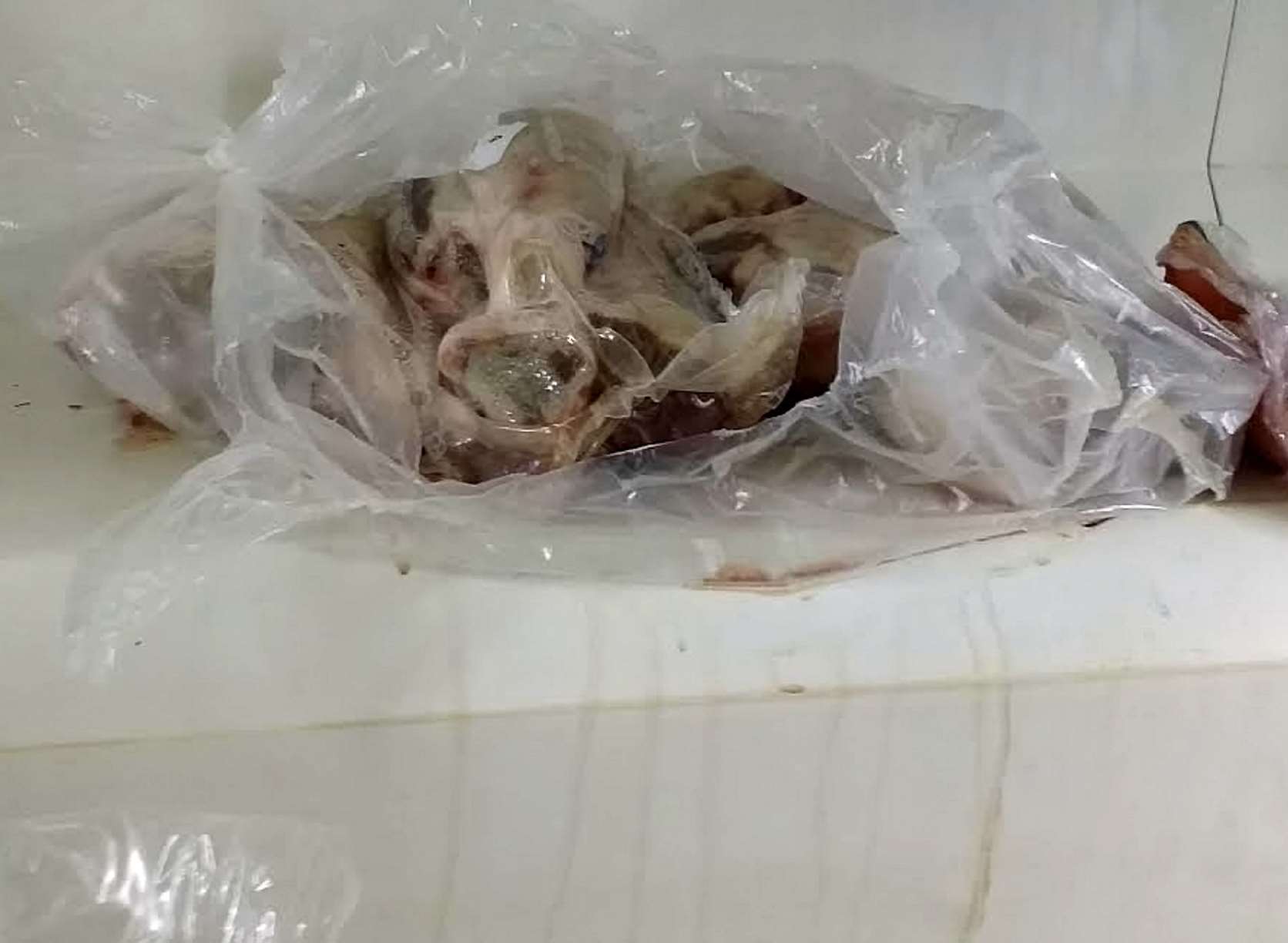 Drips appear to be coming from the lamb in the fridge. Picture: SWNS