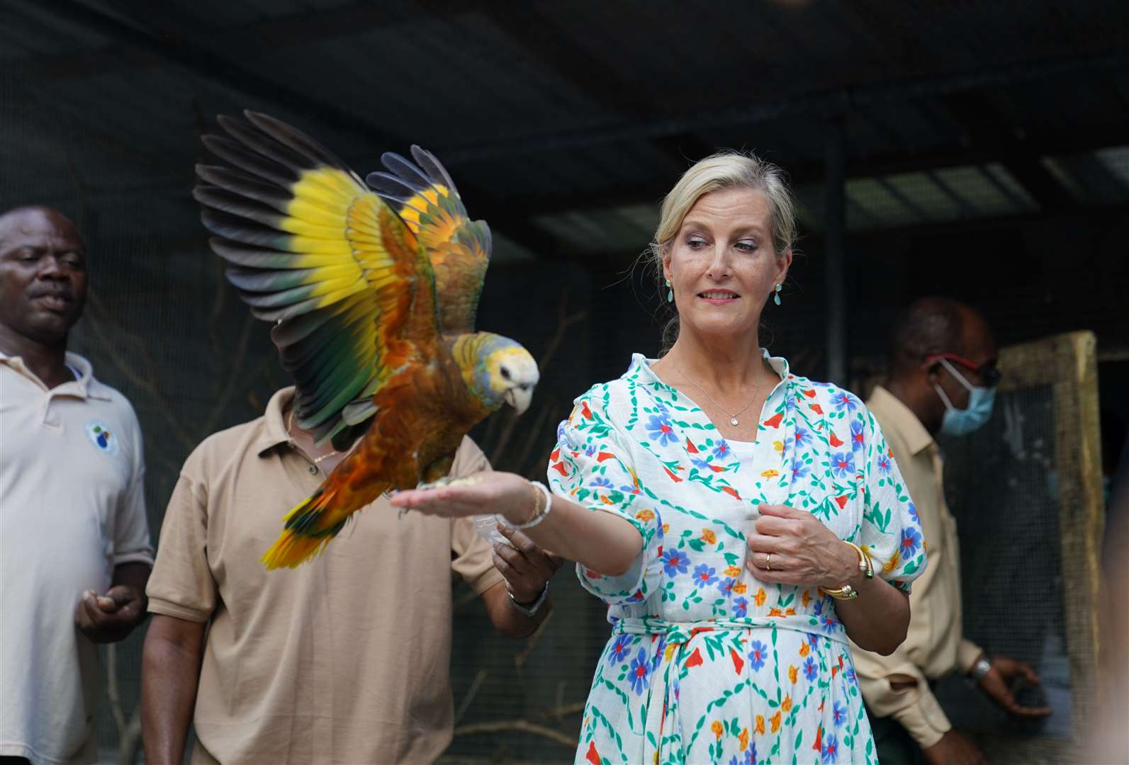 Sophie with St Vincent’s national bird, the Amazona guildingii at the Botanical Gardens in St Vincent and the Grenadines (Joe Giddens/PA)