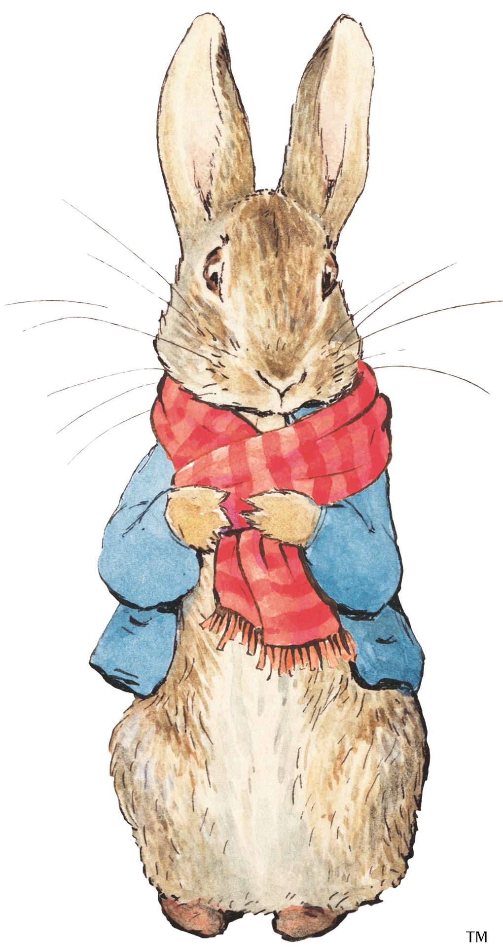 Peter Rabbit is part of a National Trust Christmas trail and activity pack this year Picture: F Warne & Co Ltd