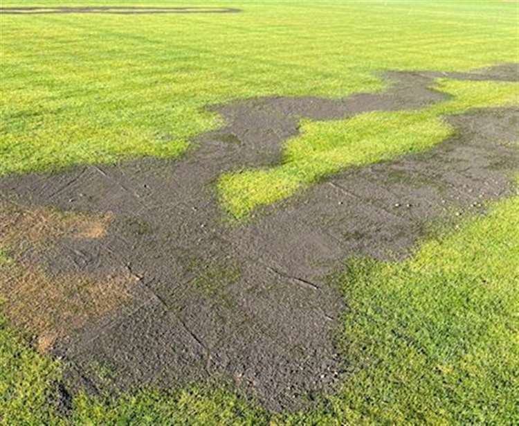 Then: Diesel oil damage to the Newington Cricket Club pitch at Bobbing in February