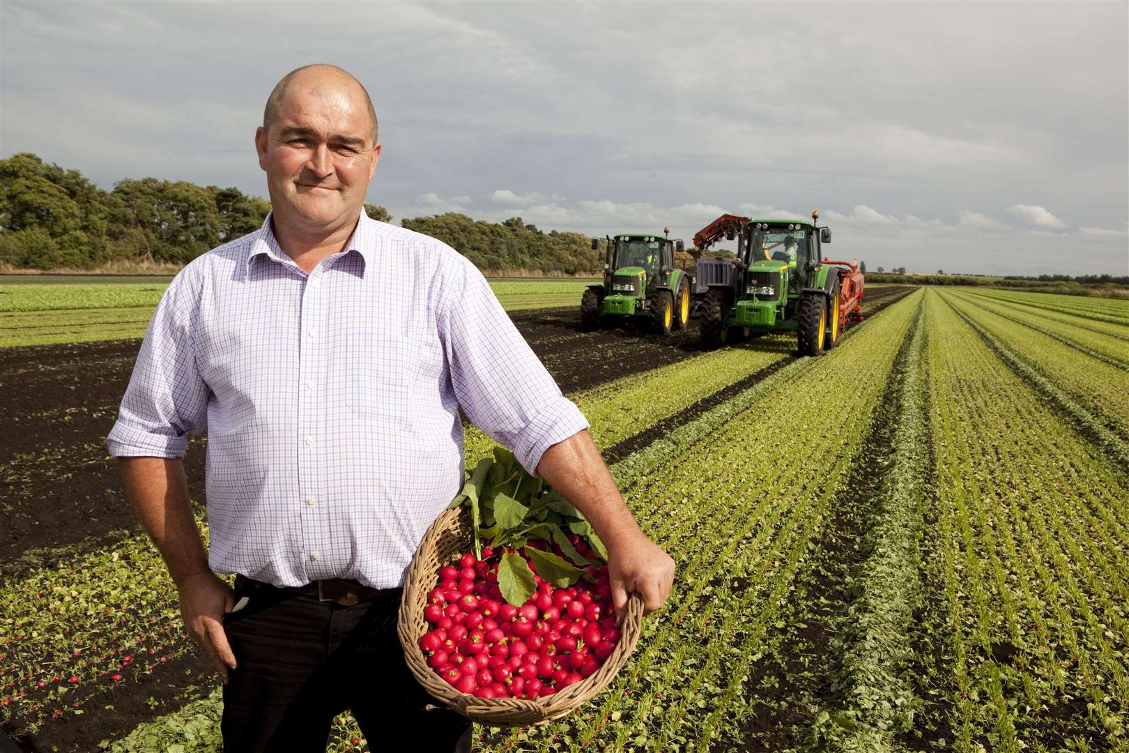 SALAD DAYS: Scott Watson, radish grower at G’s Grower in Feltwell, Norfolk