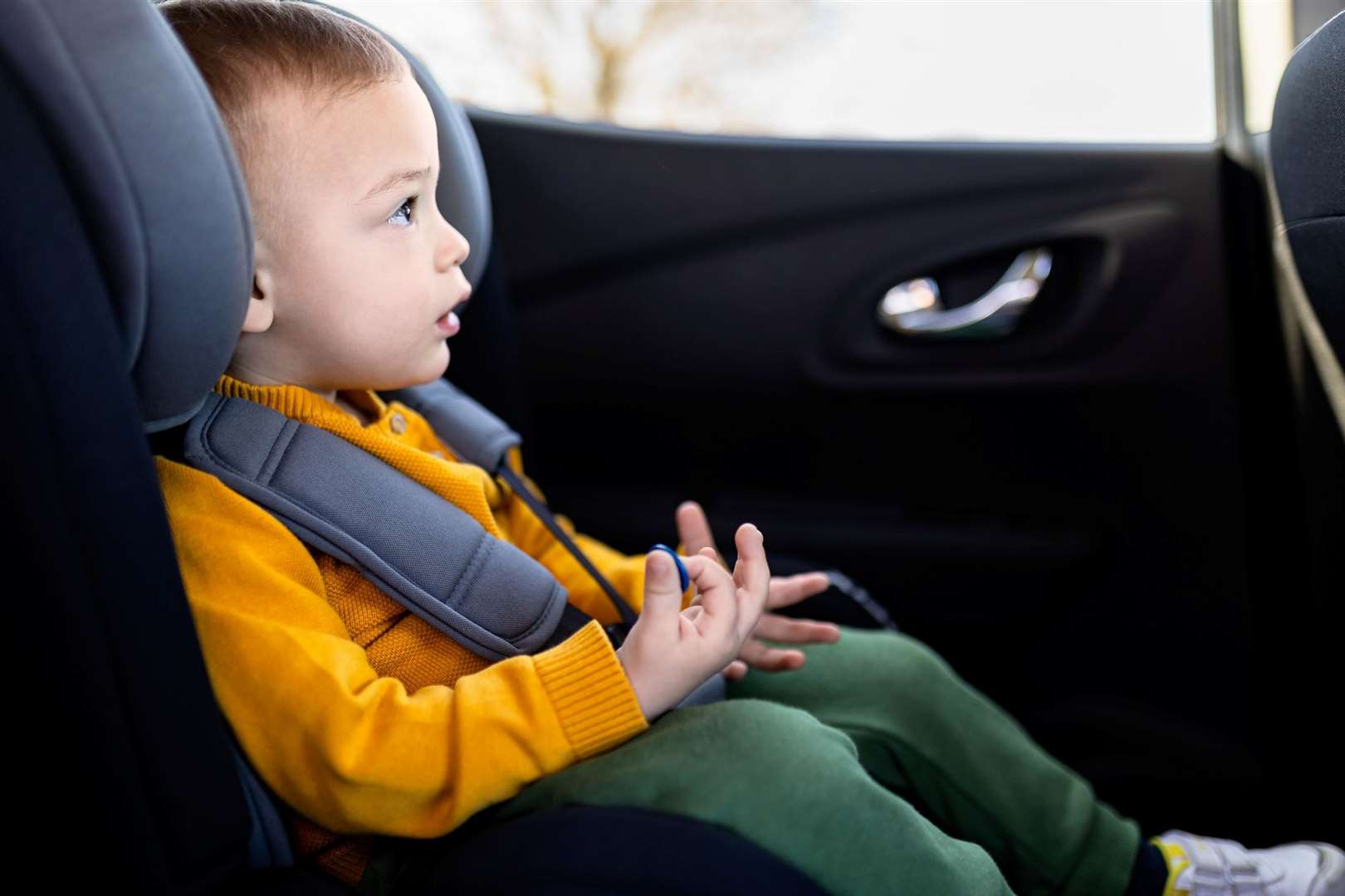 Families are being asked to check the make and model of their car seat. Image: iStock/zoff-photo.