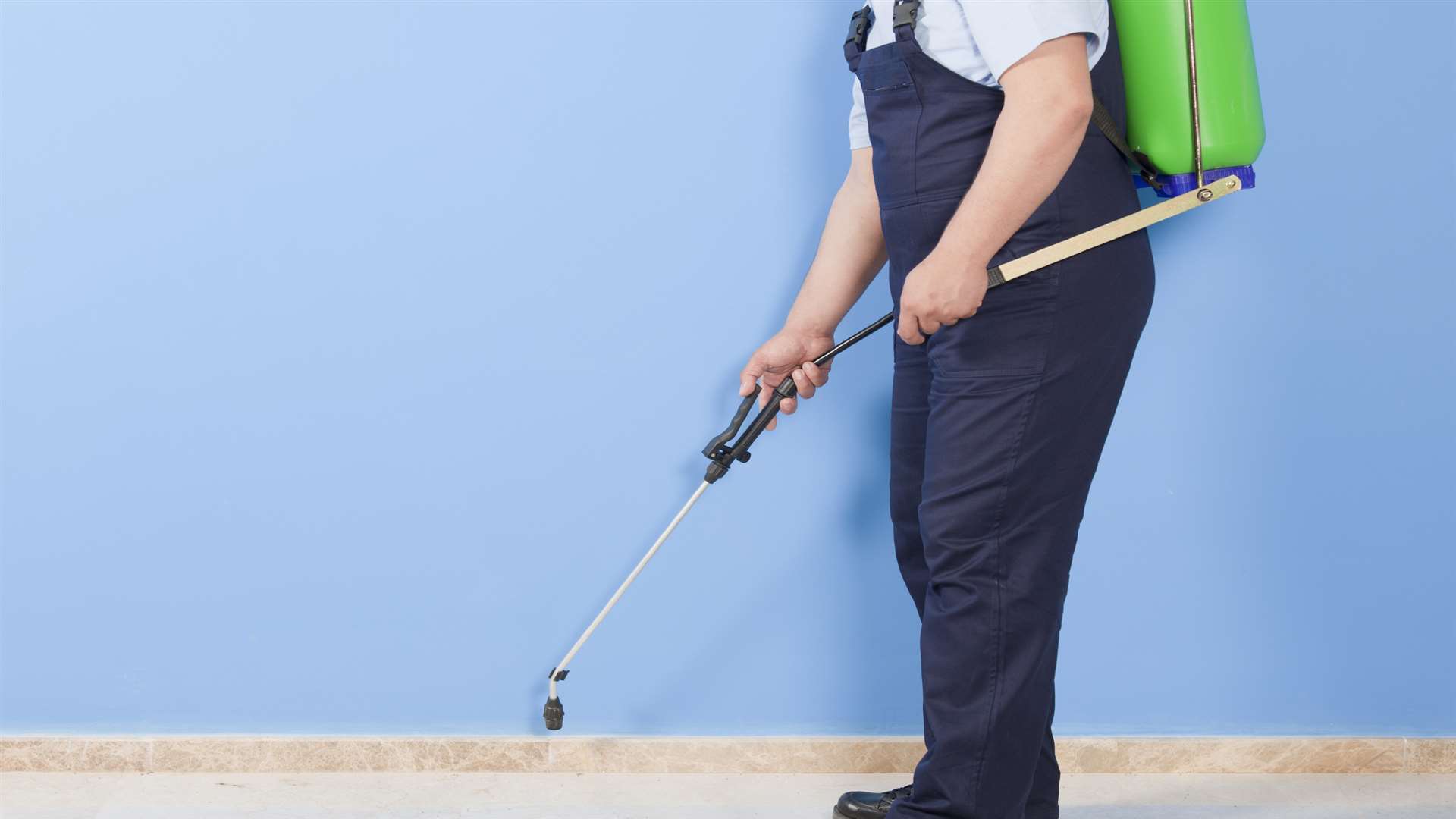 Two Kent companies have merged to form a new pest control business. Picture: iStock.com