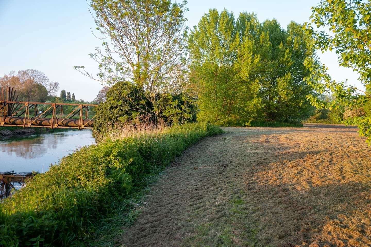 The mowed meadow in Wincheap