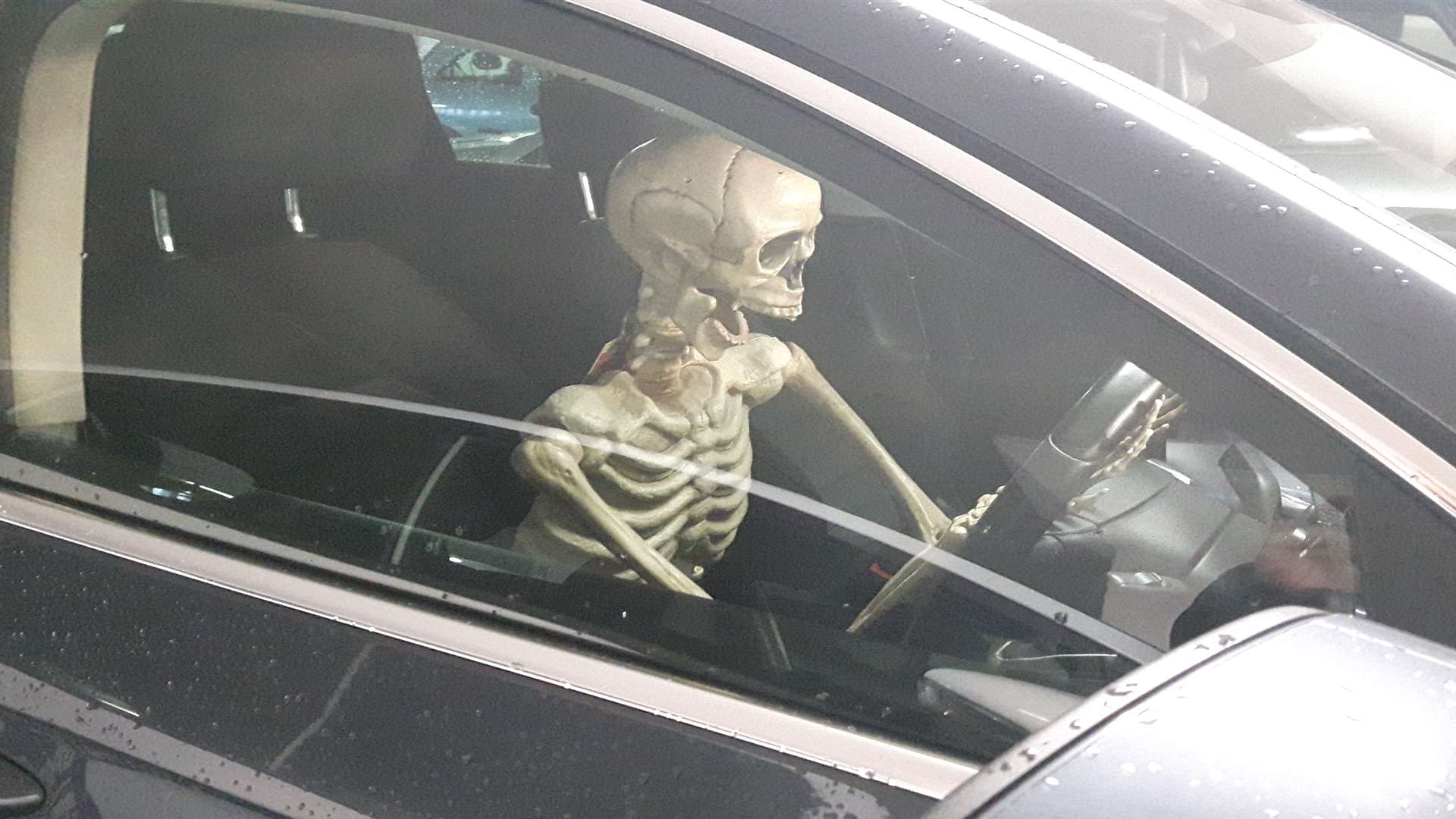 The skeleton was spotted in the car park
