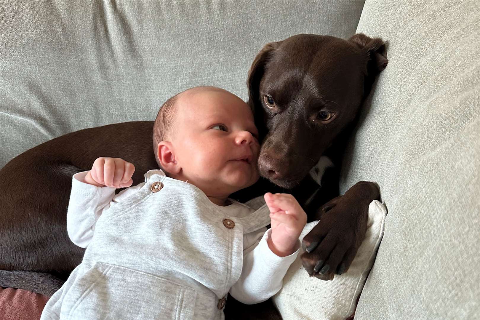 Gus and baby Brody. Picture: SWNS