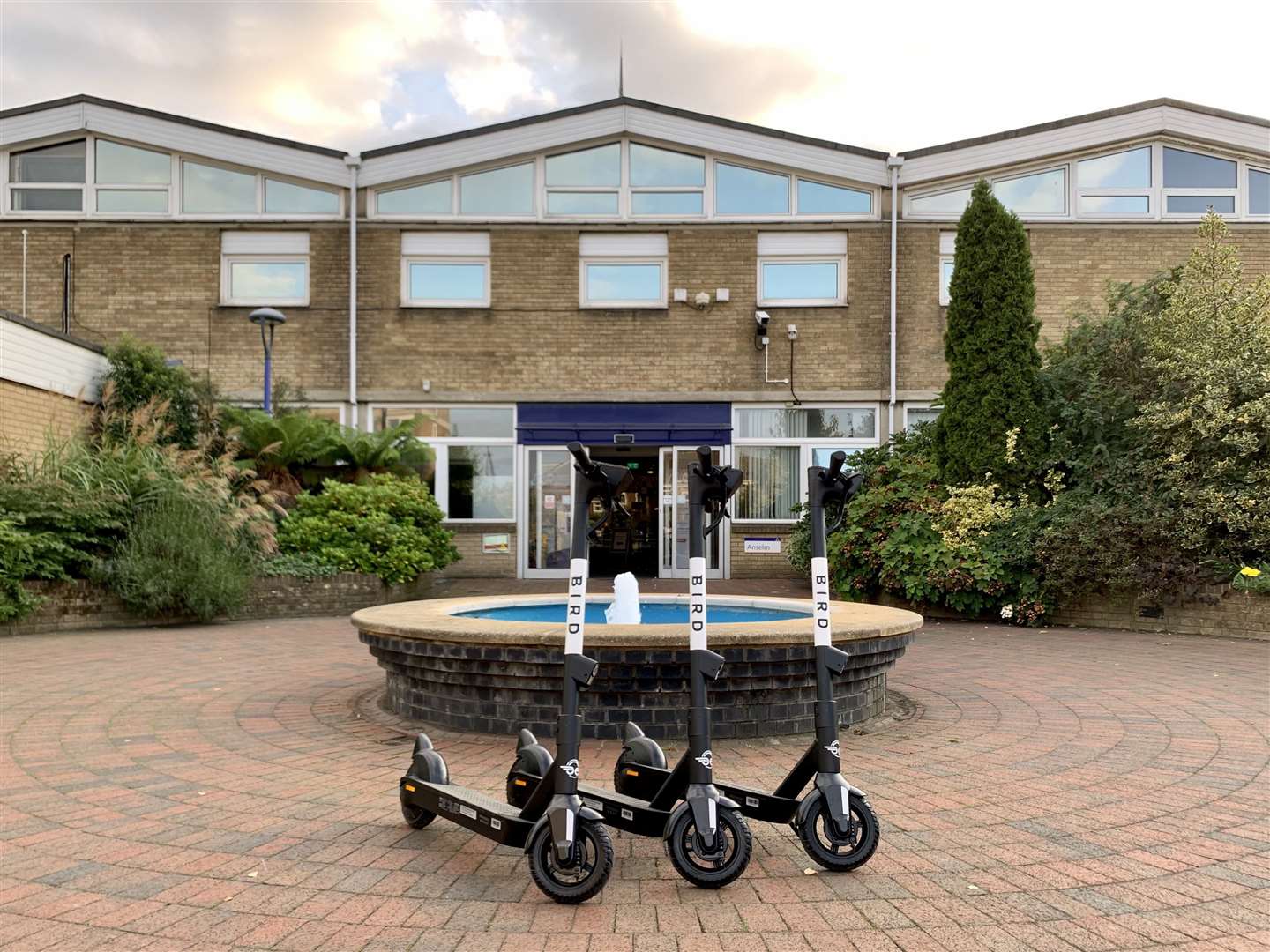 The Bird electric scooters at Canterbury Christ Church. Picture: Bird
