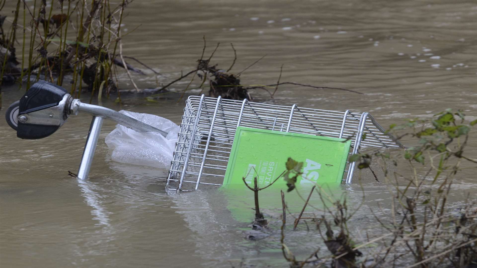 A number of trolleys have been thrown in the river. Picture: Gary Browne