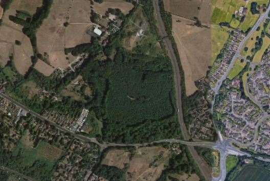 Campaigners are hoping Leybourne Council will buy Leybourne Woods to guarantee its protection. Image: Google