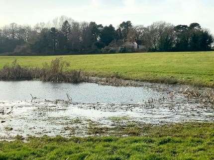 The Saxon-age Cwylla pond on Broadwater Farm
