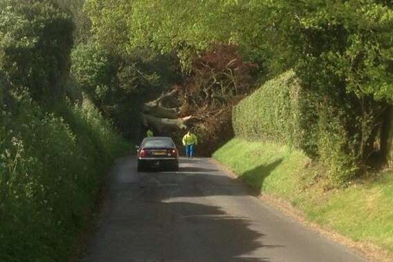 A fallen tree has blocked a road in East Farleigh, Maidstone