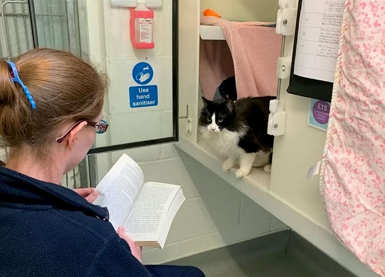 RSPCA centre carers have been reading to a group of cats rescued from a Tunbridge Wells house