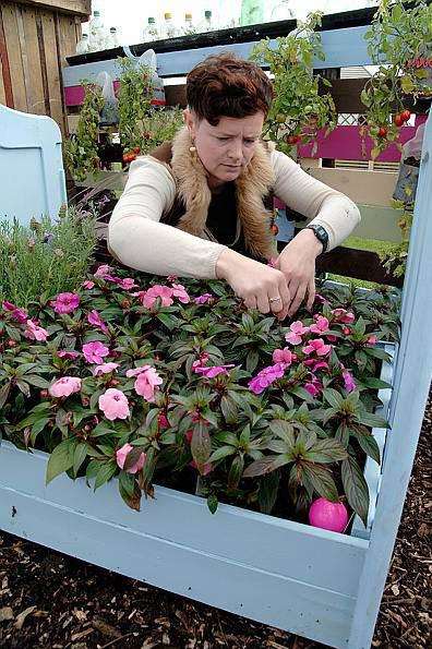 Helper Julija Hramenkova in Fleurs de Filles award winning Under the Rainbow garden.