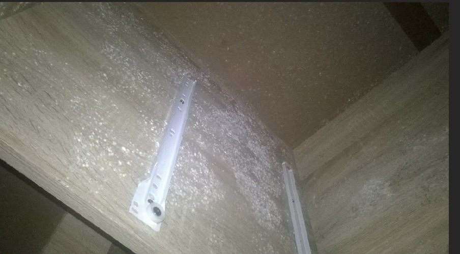 Mould growing in Laura's son's wardrobe which has since been thrown out. Picture: Laura Roebuck