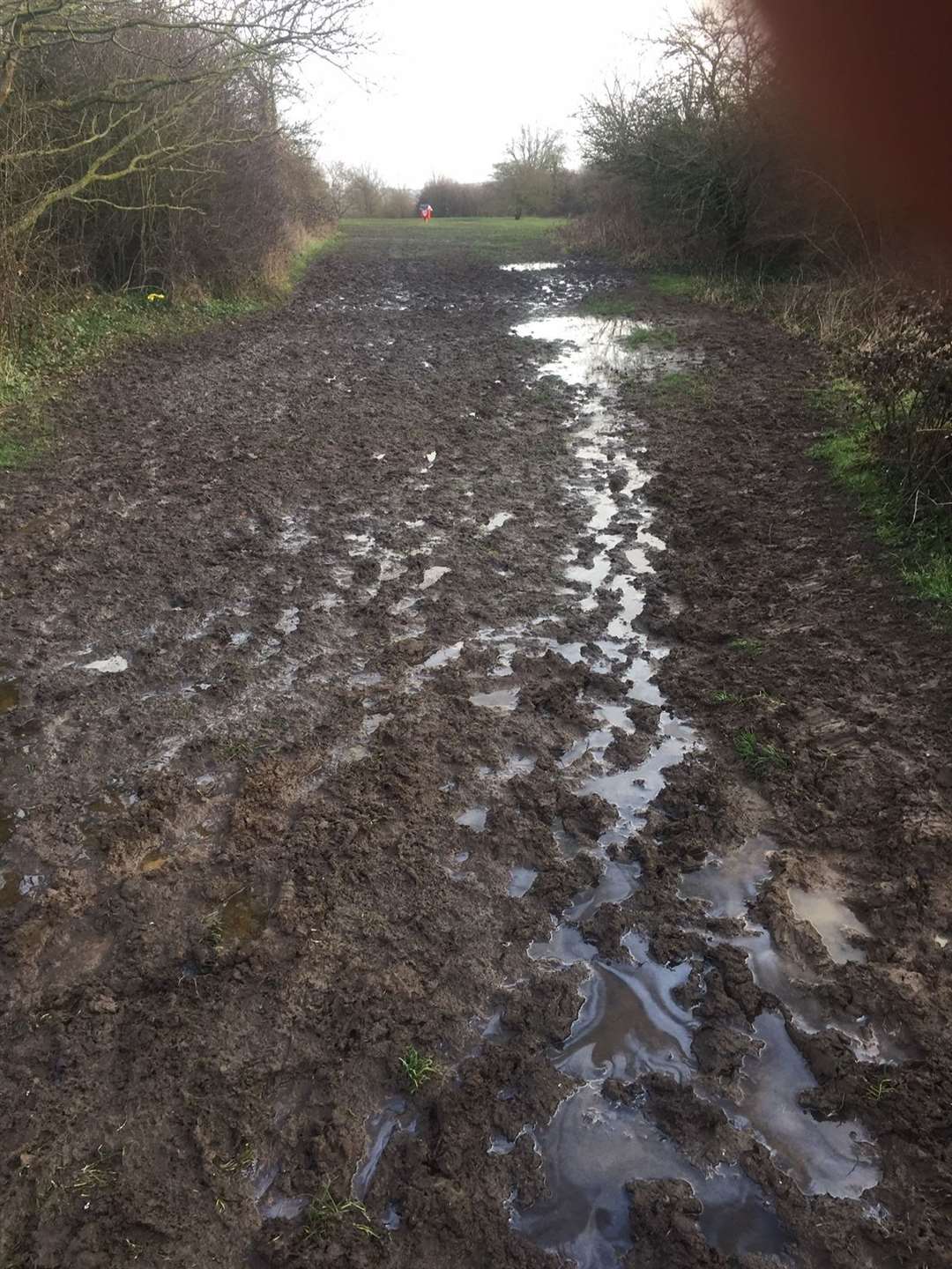 Paths have been turned into mud baths