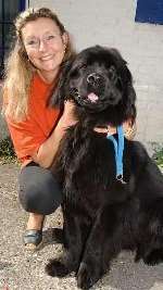 RECOVERING: Suzy Gale with family pet Lulu before the accident