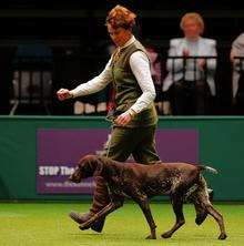 Jo Izard with winning dog Ellie at Crufts