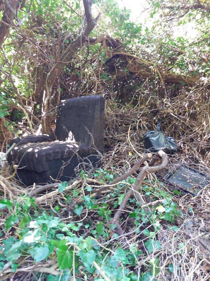 The comfy chair? Discarded armchair at Green Lane, Buckland Estate. Picture: Augusta Pearson, AFMID