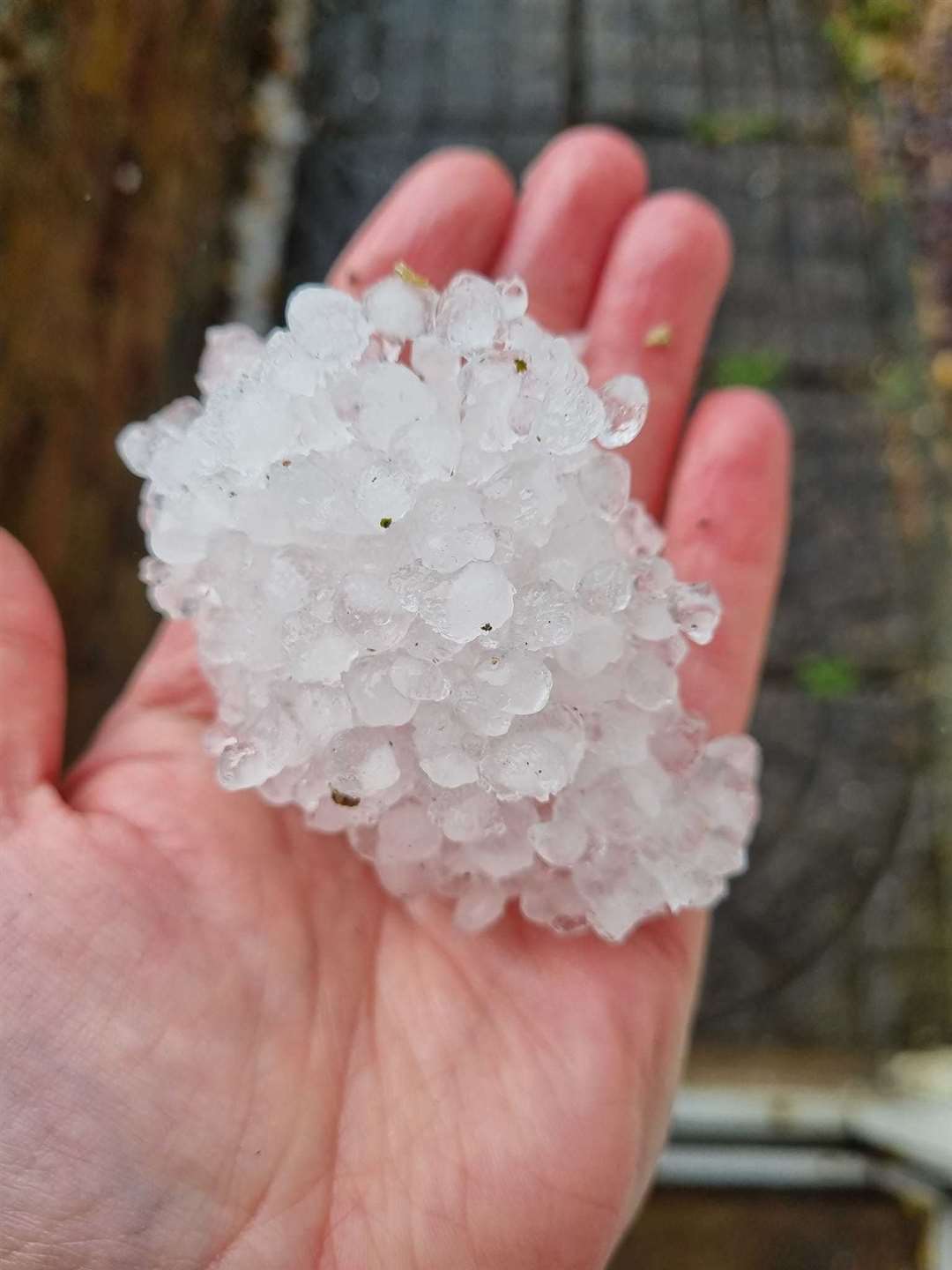 Teri Ella Graham found giant hailstones after the storm. Picture: Teri Ella Graham